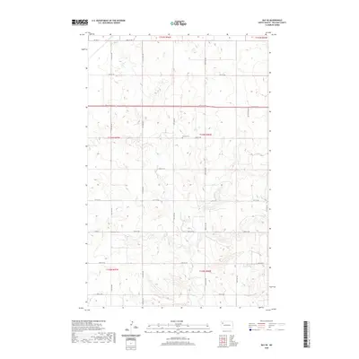 2020 Map of Ray SE, 2020 Print
