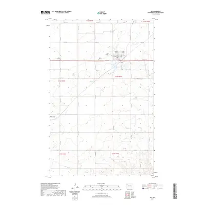 2020 Map of Ray, 2020 Print