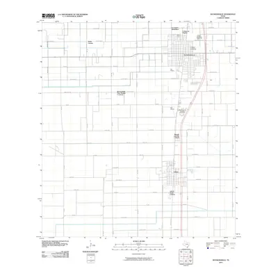 2010 Map of Raymondville, 2010 Print