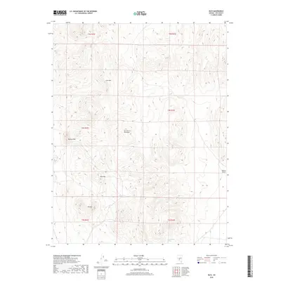 2018 Map of Rays, 2018 Print