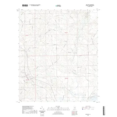 2020 Map of Red Level, 2020 Print