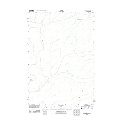 2011 Map of Red Springs, 2011 Print