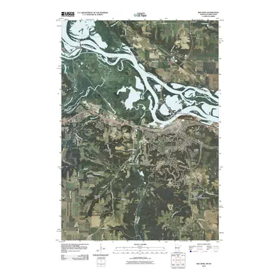 2010 Map of Red Wing, 2010 Print