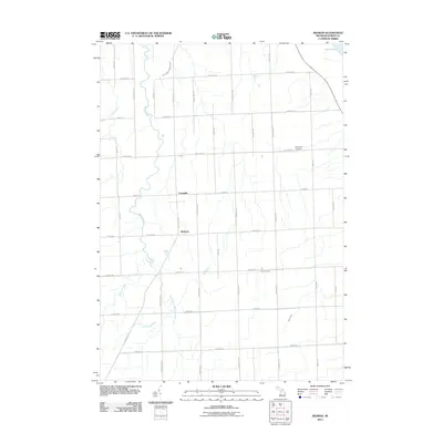 2011 Map of Redman, 2011 Print