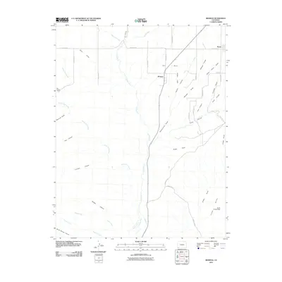 2010 Map of Redmesa, 2010 Print