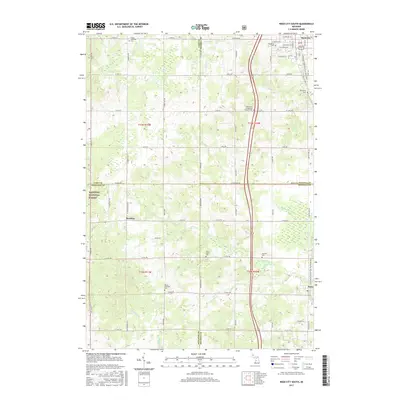 2017 Map of Reed City South, 2017 Print