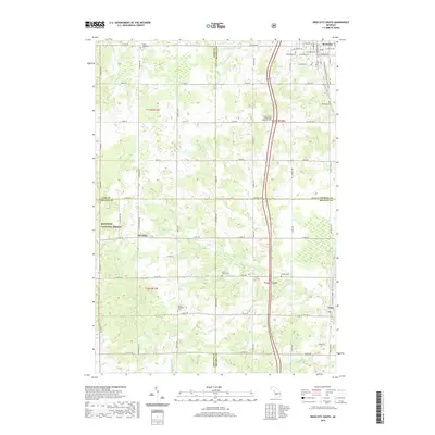 2019 Map of Reed City South, 2019 Print