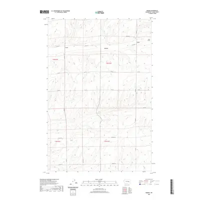 2020 Map of Reiman, 2020 Print