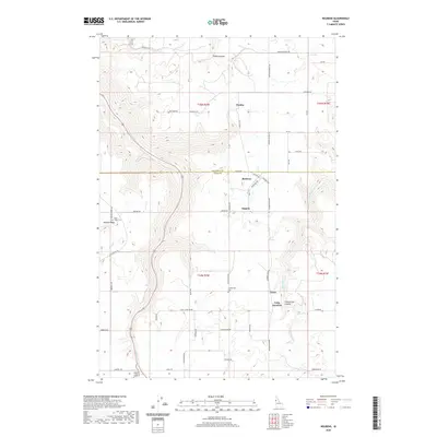 2020 Map of Reubens, 2020 Print
