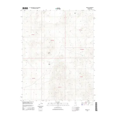 2014 Map of Reveille, 2014 Print