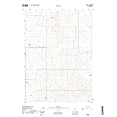 2020 Map of Reynolds, 2020 Print