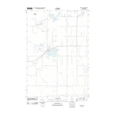 2010 Map of Rib Lake, 2010 Print