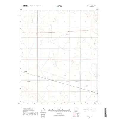 2020 Map of Ricardo, 2020 Print