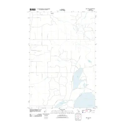 2011 Map of Rice Lake, 2011 Print