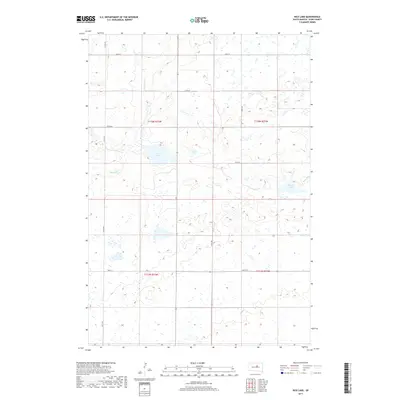 2017 Map of Rice Lake, 2017 Print