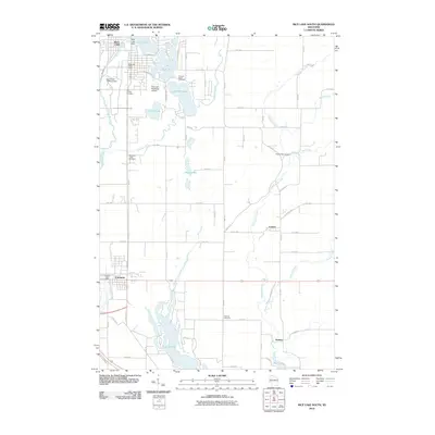 2010 Map of Rice Lake South, 2010 Print