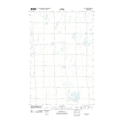 2011 Map of Rice Lake, 2011 Print