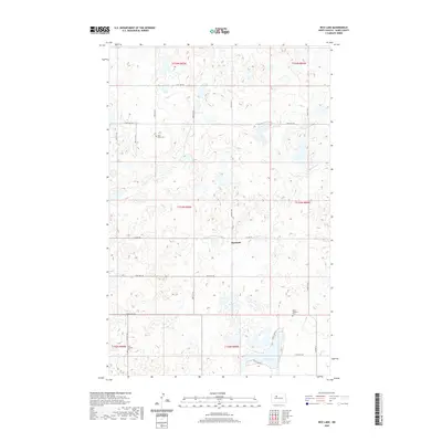 2020 Map of Rice Lake, 2020 Print