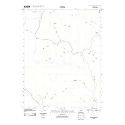 2010 Map of Rice Mountain, 2010 Print