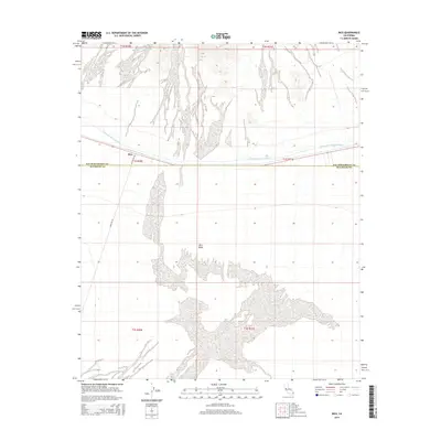 2015 Map of Rice, 2015 Print