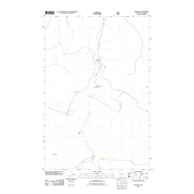 2011 Map of Riceville, 2011 Print