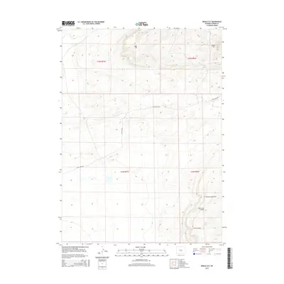 2015 Map of Riddle Cut, 2015 Print
