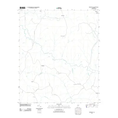 2011 Map of Ridgeville, 2011 Print