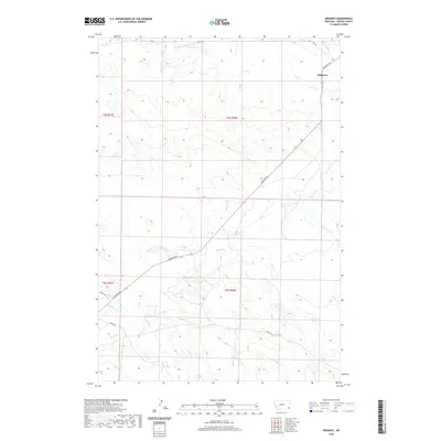 2020 Map of Ridgway, 2020 Print