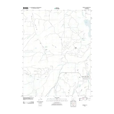 2010 Map of Ridgway, 2010 Print