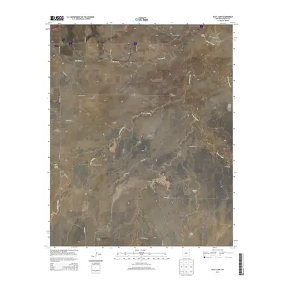 2013 Map of Riley Camp, 2013 Print