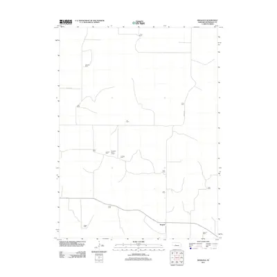 2011 Map of Ringgold, 2011 Print
