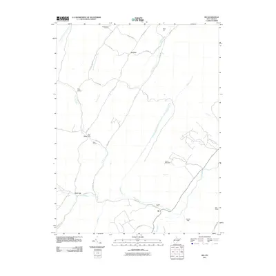 2011 Map of Rio, 2011 Print