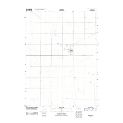 2011 Map of Rising City, 2011 Print