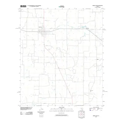 2010 Map of Rising Star, 2010 Print