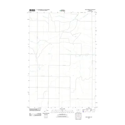 2011 Map of Rock Spring, 2011 Print