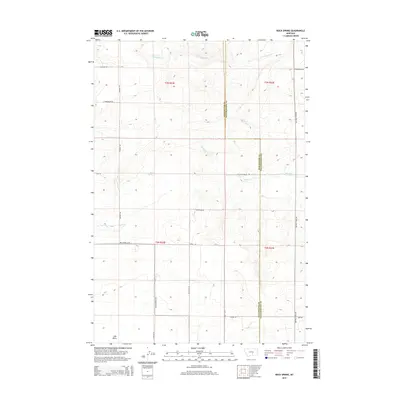 2014 Map of Rock Spring, 2014 Print