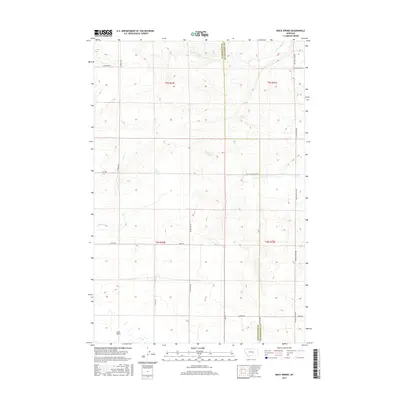 2017 Map of Rock Spring, 2017 Print