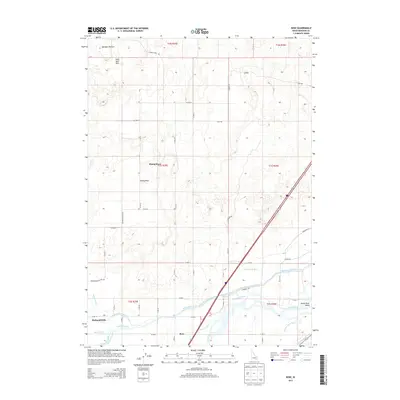 2013 Map of Rose, 2013 Print