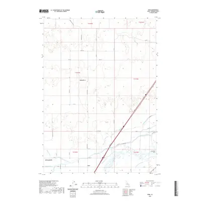 2020 Map of Rose, 2020 Print