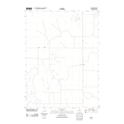 2011 Map of Rose, 2011 Print