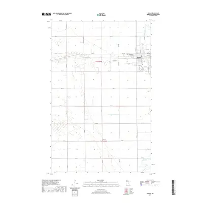 2019 Map of Roseau, 2019 Print