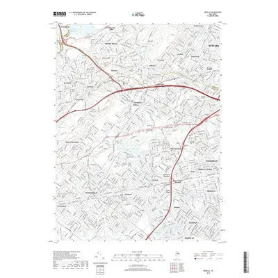 2019 Map of Roselle, 2019 Print