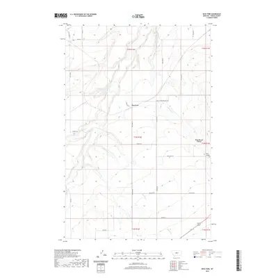 2020 Map of Ross Fork, 2020 Print