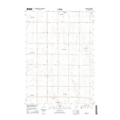 2015 Map of Roswell, 2015 Print