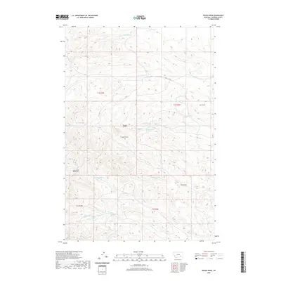 2020 Map of Rough Draw, 2020 Print
