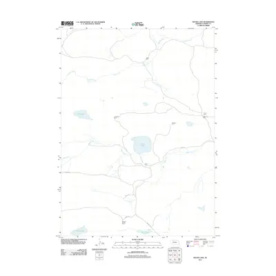 2011 Map of Round Lake, 2011 Print