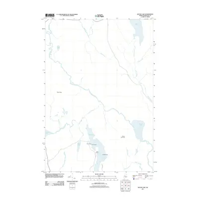 2011 Map of Round Lake, 2011 Print