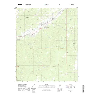 2020 Map of Ruidoso Downs, 2020 Print