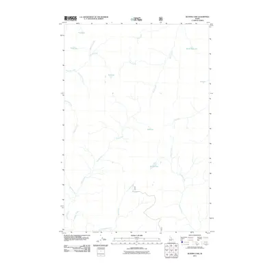 2011 Map of Running Lake, 2011 Print