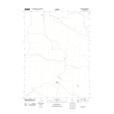 2011 Map of Rush Lake, 2011 Print